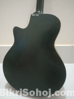 Guiter Epi-Phone